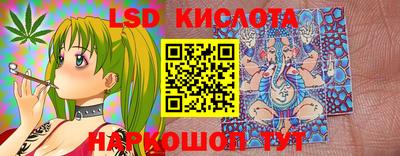 стаф Кингисепп