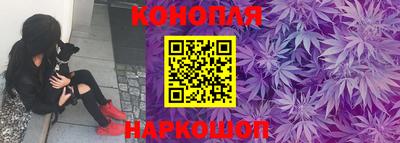 стаф Кингисепп