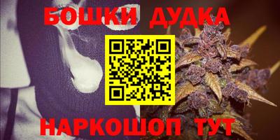 стаф Кингисепп