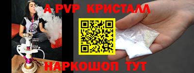 стаф Кингисепп