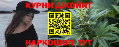 стаф Кингисепп