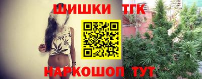 стаф Кингисепп